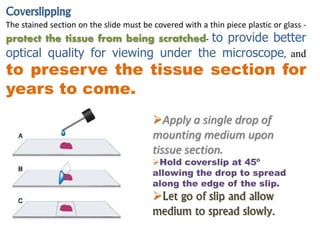 Coverslipping
The stained section on the slide must be covered with a thin piece plastic or glass -
protect the tissue from being scratched- to provide better
optical quality for viewing under the microscope, and
to preserve the tissue section for
years to come.
Apply a single drop of
mounting medium upon
tissue section.
Hold coverslip at 45º
allowing the drop to spread
along the edge of the slip.
Let go of slip and allow
medium to spread slowly.
 