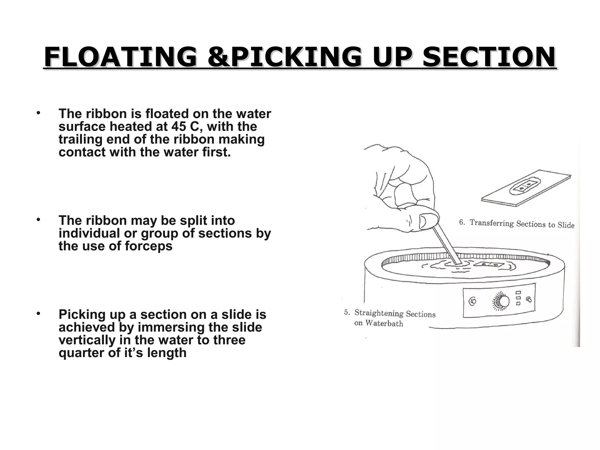 FLOATING &PICKING UP SECTIONFLOATING &PICKING UP SECTION
• The ribbon is floated on the water
surface heated at 45 C, with the
trailing end of the ribbon making
contact with the water first.
• The ribbon may be split into
individual or group of sections by
the use of forceps
• Picking up a section on a slide is
achieved by immersing the slide
vertically in the water to three
quarter of it’s length
 