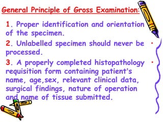 General Principle of Gross Examination:
•
1. Proper identification and orientation
of the specimen.
•
2. Unlabelled specimen should never be
processed.
•
3. A properly completed histopathology
requisition form containing patient’s
name, age,sex, relevant clinical data,
surgical findings, nature of operation
and name of tissue submitted.
 
