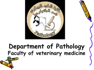 Department of Pathology
Faculty of veterinary medicine
 