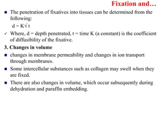 Histopathology chapter 2qq46qhb q36tgq.pptx