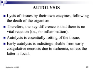 Histopathology Chapter 2- Responce of the body to injurious .ppt
