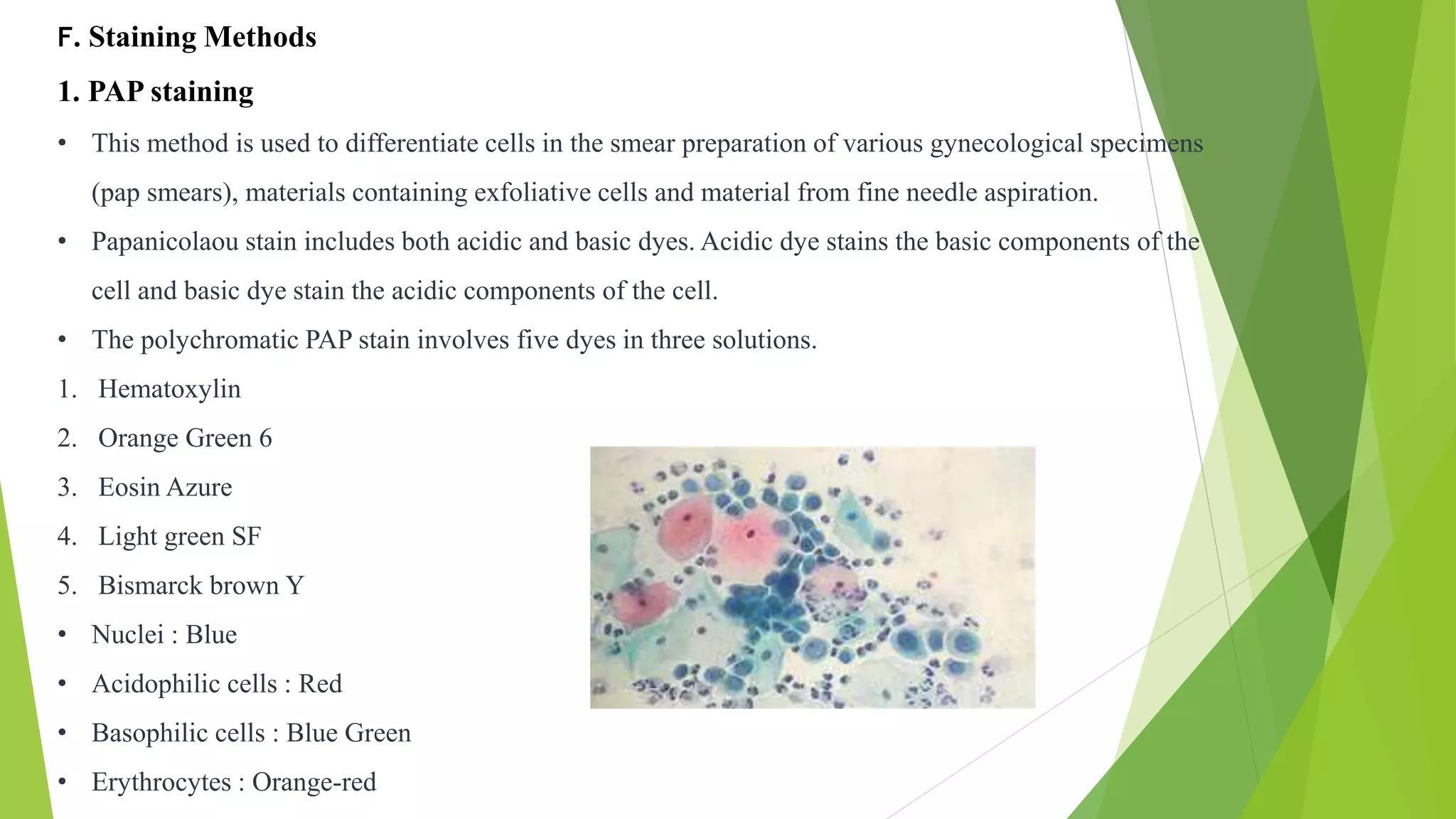 F. Staining Methods
1. PAP staining
• This method is used to differentiate cells in the smear preparation of various gynecological specimens
(pap smears), materials containing exfoliative cells and material from fine needle aspiration.
• Papanicolaou stain includes both acidic and basic dyes. Acidic dye stains the basic components of the
cell and basic dye stain the acidic components of the cell.
• The polychromatic PAP stain involves five dyes in three solutions.
1. Hematoxylin
2. Orange Green 6
3. Eosin Azure
4. Light green SF
5. Bismarck brown Y
• Nuclei : Blue
• Acidophilic cells : Red
• Basophilic cells : Blue Green
• Erythrocytes : Orange-red
 