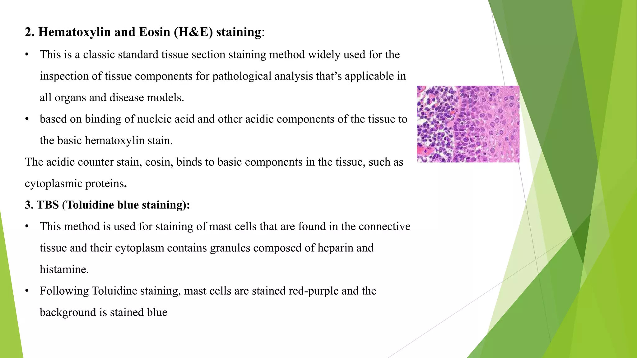2. Hematoxylin and Eosin (H&E) staining:
• This is a classic standard tissue section staining method widely used for the
inspection of tissue components for pathological analysis that’s applicable in
all organs and disease models.
• based on binding of nucleic acid and other acidic components of the tissue to
the basic hematoxylin stain.
The acidic counter stain, eosin, binds to basic components in the tissue, such as
cytoplasmic proteins.
3. TBS (Toluidine blue staining):
• This method is used for staining of mast cells that are found in the connective
tissue and their cytoplasm contains granules composed of heparin and
histamine.
• Following Toluidine staining, mast cells are stained red-purple and the
background is stained blue
 