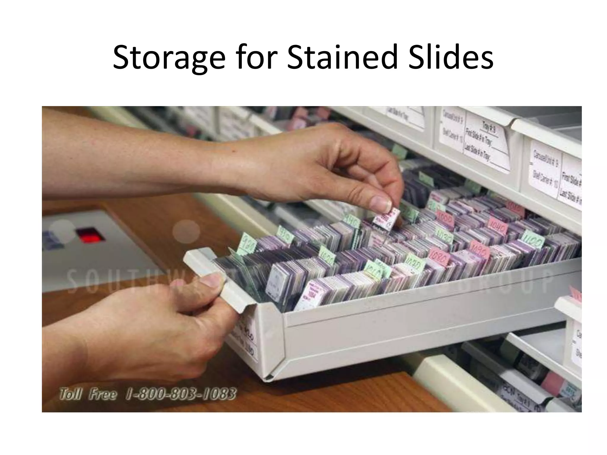 Storage for Stained Slides
 