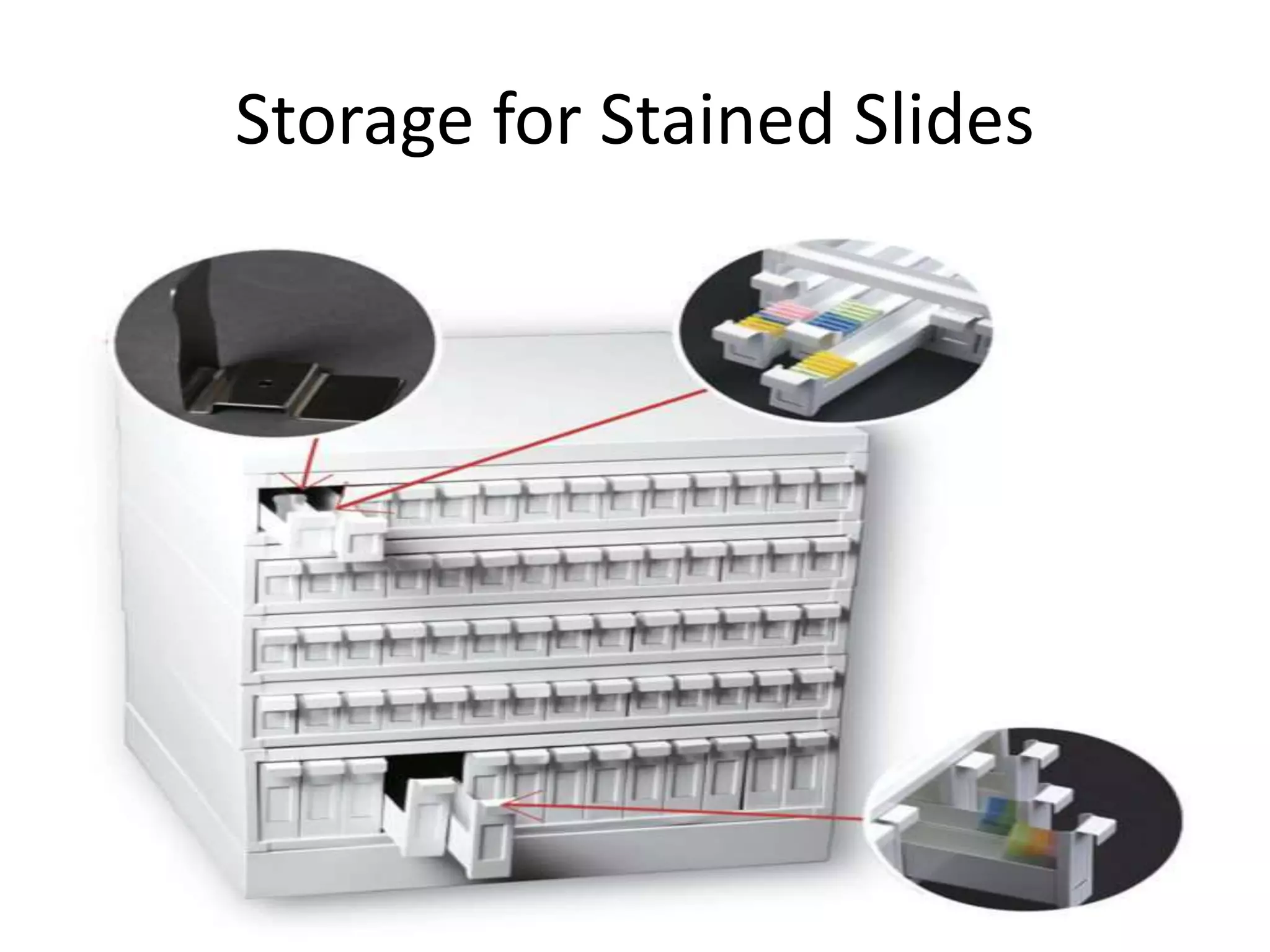 Storage for Stained Slides
 
