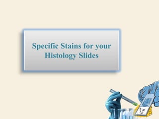 Histopathology Laboratory | PPTX