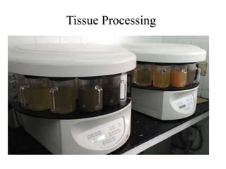 Tissue Processing
 