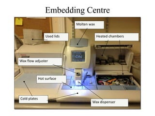 Embedding Centre
Molten wax
Cold plates
Wax dispenser
Wax flow adjuster
Heated chambersUsed lids
Hot surface
 