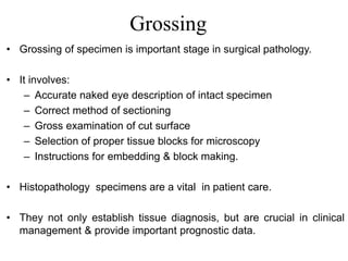 Grossing
• Grossing of specimen is important stage in surgical pathology.
• It involves:
– Accurate naked eye description of intact specimen
– Correct method of sectioning
– Gross examination of cut surface
– Selection of proper tissue blocks for microscopy
– Instructions for embedding & block making.
• Histopathology specimens are a vital in patient care.
• They not only establish tissue diagnosis, but are crucial in clinical
management & provide important prognostic data.
 