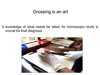 Grossing is an art
A knowledge of what needs be taken for microscopic study is
crucial for final diagnosis.
 