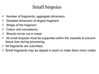  Number of fragments, aggregate dimension
 Greatest dimension of largest fragment
 Shape of the fragment
 Colour and consistency
 Should not be cut or inked
 All small biopsies must be supported within the cassette to prevent
tissue loss during processing.
 All fragments are submitted.
 Small fragments may be dipped in eosin to make them more visible.
Small biopsies
 