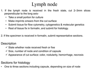 Lymph node
1. If the lymph node is received in the fresh state, cut 2–3mm slices
perpendicular to the long axis-
• Take a small portion for culture
• Make imprints smears from the cut surface
• Submit tissue for flow cytometry, cytogenetics & molecular genetics
• Rest of tissue fix in formalin, and submit for histology.
2. If the specimen is received in formalin, submit representative sections.
Description
 State whether node received fresh or fixe
 Size, number of node and condition of capsule
 Appearance of cut surface: color, nodularity, hemorrhage, necrosis
Sections for histology
• One to three sections including capsule, depending on size of node
 