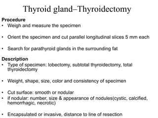 Thyroid gland–Thyroidectomy
Procedure
• Weigh and measure the specimen
• Orient the specimen and cut parallel longitudinal slices 5 mm each
• Search for parathyroid glands in the surrounding fat
Description
• Type of specimen: lobectomy, subtotal thyroidectomy, total
thyroidectomy
• Weight, shape, size, color and consistency of specimen
• Cut surface: smooth or nodular
• if nodular: number, size & appearance of nodules(cystic, calcified,
hemorrhagic, necrotic)
• Encapsulated or invasive, distance to line of resection
 