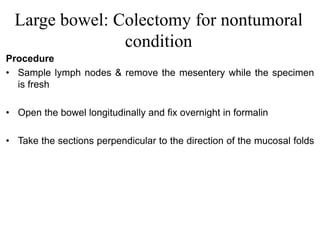 Large bowel: Colectomy for nontumoral
condition
Procedure
• Sample lymph nodes & remove the mesentery while the specimen
is fresh
• Open the bowel longitudinally and fix overnight in formalin
• Take the sections perpendicular to the direction of the mucosal folds
 
