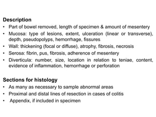 Description
• Part of bowel removed, length of specimen & amount of mesentery
• Mucosa: type of lesions, extent, ulceration (linear or transverse),
depth, pseudopolyps, hemorrhage, fissures
• Wall: thickening (focal or diffuse), atrophy, fibrosis, necrosis
• Serosa: fibrin, pus, fibrosis, adherence of mesentery
• Diverticula: number, size, location in relation to teniae, content,
evidence of inflammation, hemorrhage or perforation
Sections for histology
• As many as necessary to sample abnormal areas
• Proximal and distal lines of resection in cases of colitis
• Appendix, if included in specimen
 