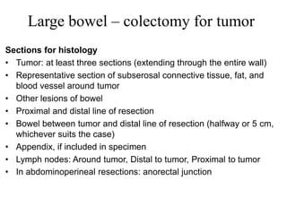 Large bowel – colectomy for tumor
Sections for histology
• Tumor: at least three sections (extending through the entire wall)
• Representative section of subserosal connective tissue, fat, and
blood vessel around tumor
• Other lesions of bowel
• Proximal and distal line of resection
• Bowel between tumor and distal line of resection (halfway or 5 cm,
whichever suits the case)
• Appendix, if included in specimen
• Lymph nodes: Around tumor, Distal to tumor, Proximal to tumor
• In abdominoperineal resections: anorectal junction
 