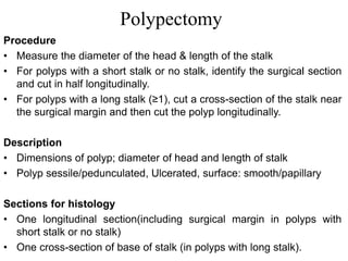 Polypectomy
Procedure
• Measure the diameter of the head & length of the stalk
• For polyps with a short stalk or no stalk, identify the surgical section
and cut in half longitudinally.
• For polyps with a long stalk (≥1), cut a cross-section of the stalk near
the surgical margin and then cut the polyp longitudinally.
Description
• Dimensions of polyp; diameter of head and length of stalk
• Polyp sessile/pedunculated, Ulcerated, surface: smooth/papillary
Sections for histology
• One longitudinal section(including surgical margin in polyps with
short stalk or no stalk)
• One cross-section of base of stalk (in polyps with long stalk).
 