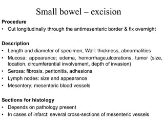 Small bowel – excision
Procedure
• Cut longitudinally through the antimesenteric border & fix overnight
Description
• Length and diameter of specimen, Wall: thickness, abnormalities
• Mucosa: appearance; edema, hemorrhage,ulcerations, tumor (size,
location, circumferential involvement, depth of invasion)
• Serosa: fibrosis, peritonitis, adhesions
• Lymph nodes: size and appearance
• Mesentery; mesenteric blood vessels
Sections for histology
• Depends on pathology present
• In cases of infarct: several cross-sections of mesenteric vessels
 