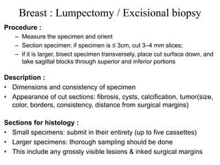 Breast : Lumpectomy / Excisional biopsy
Procedure :
– Measure the specimen and orient
– Section specimen: if specimen is ≤ 3cm, cut 3–4 mm slices;
– if it is larger, bisect specimen transversely, place cut surface down, and
take sagittal blocks through superior and inferior portions
Description :
• Dimensions and consistency of specimen
• Appearance of cut sections: fibrosis, cysts, calcification, tumor(size,
color, borders, consistency, distance from surgical margins)
Sections for histology :
• Small specimens: submit in their entirety (up to five cassettes)
• Larger specimens: thorough sampling should be done
• This include any grossly visible lesions & inked surgical margins
 