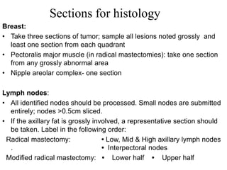 Sections for histology
Breast:
• Take three sections of tumor; sample all lesions noted grossly and
least one section from each quadrant
• Pectoralis major muscle (in radical mastectomies): take one section
from any grossly abnormal area
• Nipple areolar complex- one section
Lymph nodes:
• All identified nodes should be processed. Small nodes are submitted
entirely; nodes >0.5cm sliced.
• If the axillary fat is grossly involved, a representative section should
be taken. Label in the following order:
Radical mastectomy: • Low, Mid & High axillary lymph nodes
. • Interpectoral nodes
Modified radical mastectomy: • Lower half • Upper half
 