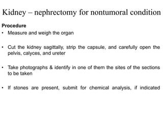Kidney – nephrectomy for nontumoral condition
Procedure
• Measure and weigh the organ
• Cut the kidney sagittally, strip the capsule, and carefully open the
pelvis, calyces, and ureter
• Take photographs & identify in one of them the sites of the sections
to be taken
• If stones are present, submit for chemical analysis, if indicated
 
