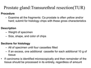 Prostate gland:Transurethral resection(TUR)
Procedure
– Examine all the fragments: Ca prostate is often yellow and/or
hard; submit for histology chips with these gross characteristics
Description
– Weight of specimen
– Size, shape, and color of chips
Sections for histology
– All of specimen until four cassettes filled
– If an excess, one additional cassette for each additional 10 g of
tissue
• If carcinoma is identified microscopically and then remainder of the
tissue should be processed in its entirety, regardless of amount
 