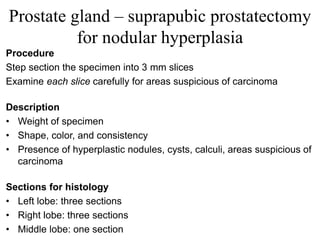 Prostate gland – suprapubic prostatectomy
for nodular hyperplasia
Procedure
Step section the specimen into 3 mm slices
Examine each slice carefully for areas suspicious of carcinoma
Description
• Weight of specimen
• Shape, color, and consistency
• Presence of hyperplastic nodules, cysts, calculi, areas suspicious of
carcinoma
Sections for histology
• Left lobe: three sections
• Right lobe: three sections
• Middle lobe: one section
 
