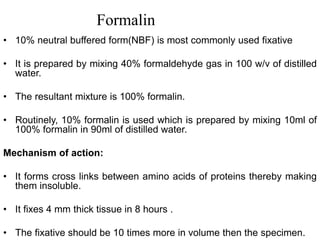 • 10% neutral buffered form(NBF) is most commonly used fixative
• It is prepared by mixing 40% formaldehyde gas in 100 w/v of distilled
water.
• The resultant mixture is 100% formalin.
• Routinely, 10% formalin is used which is prepared by mixing 10ml of
100% formalin in 90ml of distilled water.
Mechanism of action:
• It forms cross links between amino acids of proteins thereby making
them insoluble.
• It fixes 4 mm thick tissue in 8 hours .
• The fixative should be 10 times more in volume then the specimen.
Formalin
 