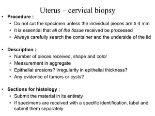Uterus – cervical biopsy
• Procedure :
• Do not cut the specimen unless the individual pieces are ≥ 4 mm
• It is essential that all of the tissue received be processed
• Always carefully search the container and the underside of the lid
• Description :
• Number of pieces received, shape and color
• Measurement in aggregate
• Epithelial erosions? irregularity in epithelial thickness?
• Any evidence of tumors or cysts?
• Sections for histology :
• Submit the material in its entirety
• If specimens are received with a specific identification, label and
submit them separately
 
