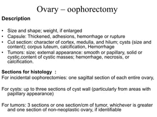 Ovary – oophorectomy
Description
• Size and shape; weight, if enlarged
• Capsule: Thickened, adhesions, hemorrhage or rupture
• Cut section: character of cortex, medulla, and hilum; cysts (size and
content); corpus luteum, calcification, Hemorrhage
• Tumors: size; external appearance: smooth or papillary, solid or
cystic,content of cystic masses; hemorrhage, necrosis, or
calcification.
Sections for histology :
For incidental oophorectomies: one sagittal section of each entire ovary,
For cysts: up to three sections of cyst wall (particularly from areas with
papillary appearance)
For tumors: 3 sections or one section/cm of tumor, whichever is greater
and one section of non-neoplastic ovary, if identifiable
 