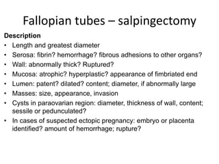 Fallopian tubes – salpingectomy
Description
• Length and greatest diameter
• Serosa: fibrin? hemorrhage? fibrous adhesions to other organs?
• Wall: abnormally thick? Ruptured?
• Mucosa: atrophic? hyperplastic? appearance of fimbriated end
• Lumen: patent? dilated? content; diameter, if abnormally large
• Masses: size, appearance, invasion
• Cysts in paraovarian region: diameter, thickness of wall, content;
sessile or pedunculated?
• In cases of suspected ectopic pregnancy: embryo or placenta
identified? amount of hemorrhage; rupture?
 