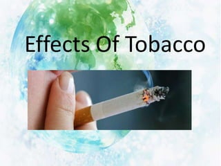 Effects Of Tobacco
 