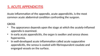 histopath slides.pptx mbbs Second year . | PPTX