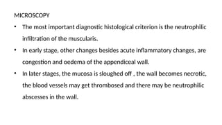 histopath slides.pptx mbbs Second year . | PPTX