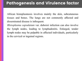 Pathogenesis and Virulence factor
African histoplasmosis involves mainly the skin, subcutaneous
tissues and bones. The lungs are not commonly affected and
disseminated disease is infrequent.
Histoplasma capsulatum var. duboisii infection can also involve
the lymph nodes, leading to lymphadenitis. Enlarged, tender
lymph nodes may be palpable in affected individuals, particularly
in the cervical or inguinal regions.
 