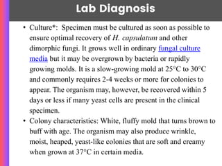 Lab Diagnosis
• Culture*: Specimen must be cultured as soon as possible to
ensure optimal recovery of H. capsulatum and other
dimorphic fungi. It grows well in ordinary fungal culture
media but it may be overgrown by bacteria or rapidly
growing molds. It is a slow-growing mold at 25°C to 30°C
and commonly requires 2-4 weeks or more for colonies to
appear. The organism may, however, be recovered within 5
days or less if many yeast cells are present in the clinical
specimen.
• Colony characteristics: White, fluffy mold that turns brown to
buff with age. The organism may also produce wrinkle,
moist, heaped, yeast-like colonies that are soft and creamy
when grown at 37°C in certain media.
 