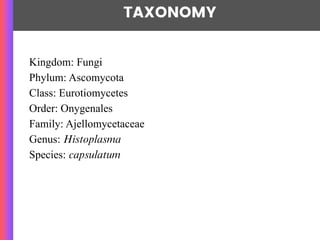 TAXONOMY
Kingdom: Fungi
Phylum: Ascomycota
Class: Eurotiomycetes
Order: Onygenales
Family: Ajellomycetaceae
Genus: Histoplasma
Species: capsulatum
 