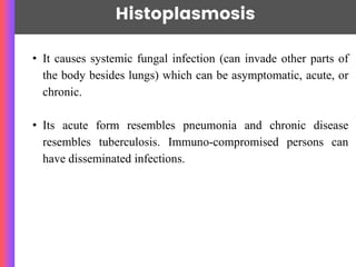 Histoplasmosis
~Nawang Sherpa
• It causes systemic fungal infection (can invade other parts of
the body besides lungs) which can be asymptomatic, acute, or
chronic.
• Its acute form resembles pneumonia and chronic disease
resembles tuberculosis. Immuno-compromised persons can
have disseminated infections.
 