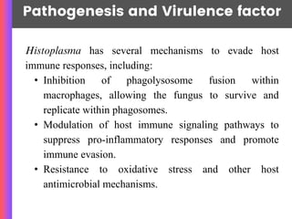 Pathogenesis and Virulence factor
Histoplasma has several mechanisms to evade host
immune responses, including:
• Inhibition of phagolysosome fusion within
macrophages, allowing the fungus to survive and
replicate within phagosomes.
• Modulation of host immune signaling pathways to
suppress pro-inflammatory responses and promote
immune evasion.
• Resistance to oxidative stress and other host
antimicrobial mechanisms.
 