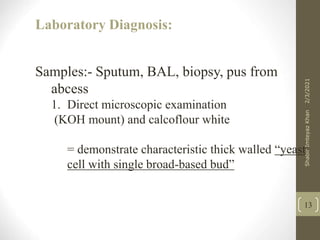 Laboratory Diagnosis:
Samples:- Sputum, BAL, biopsy, pus from
abcess
1. Direct microscopic examination
(KOH mount) and calcoflour white
= demonstrate characteristic thick walled “yeast
cell with single broad-based bud”
13
2/3/2021
Shabir
Imteyaz
Khan
 
