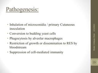 Pathogenesis
• Inhalation of microconidia / primary Cutaneous
inoculation
• Conversion to budding yeast cells
• Phagocytosis by alveolar macrophages
• Restriction of growth or dissemination to RES by
bloodstream
• Suppression of cell-mediated immunity
23
2/3/2021
Shabir
Imteyaz
Khan
 