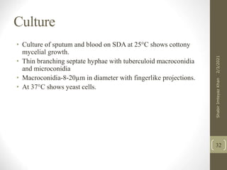 Culture
• Culture of sputum and blood on SDA at 25°C shows cottony
mycelial growth.
• Thin branching septate hyphae with tuberculoid macroconidia
and microconidia
• Macroconidia-8-20µm in diameter with fingerlike projections.
• At 37°C shows yeast cells.
32
2/3/2021
Shabir
Imteyaz
Khan
 
