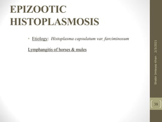EPIZOOTIC
HISTOPLASMOSIS
• Etiology Histoplasma capsulatum var. farciminosum
Lymphangitis of horses & mules
38
2/3/2021
Shabir
Imteyaz
Khan
 