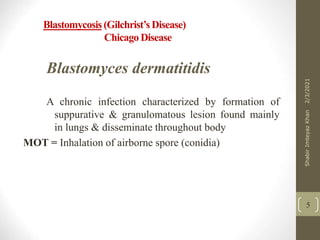 Blastomycosis (Gilchrist’s Disease)
Chicago Disease
Blastomyces dermatitidis
A chronic infection characterized by formation of
suppurative & granulomatous lesion found mainly
in lungs & disseminate throughout body
MOT = Inhalation of airborne spore (conidia)
5
2/3/2021
Shabir
Imteyaz
Khan
 