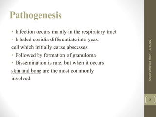 Pathogenesis
• Infection occurs mainly in the respiratory tract
• Inhaled conidia differentiate into yeast
cell which initially cause abscesses
• Followed by formation of granuloma
• Dissemination is rare, but when it occurs
skin and bone are the most commonly
involved.
8
2/3/2021
Shabir
Imteyaz
Khan
 