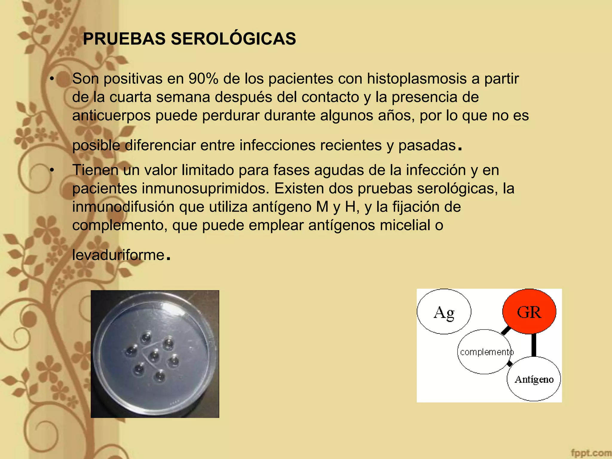 PRUEBAS SEROLÓGICAS
•

Son positivas en 90% de los pacientes con histoplasmosis a partir
de la cuarta semana después del contacto y la presencia de
anticuerpos puede perdurar durante algunos años, por lo que no es
posible diferenciar entre infecciones recientes y pasadas

•

.

Tienen un valor limitado para fases agudas de la infección y en
pacientes inmunosuprimidos. Existen dos pruebas serológicas, la
inmunodifusión que utiliza antígeno M y H, y la fijación de
complemento, que puede emplear antígenos micelial o

.

levaduriforme

 