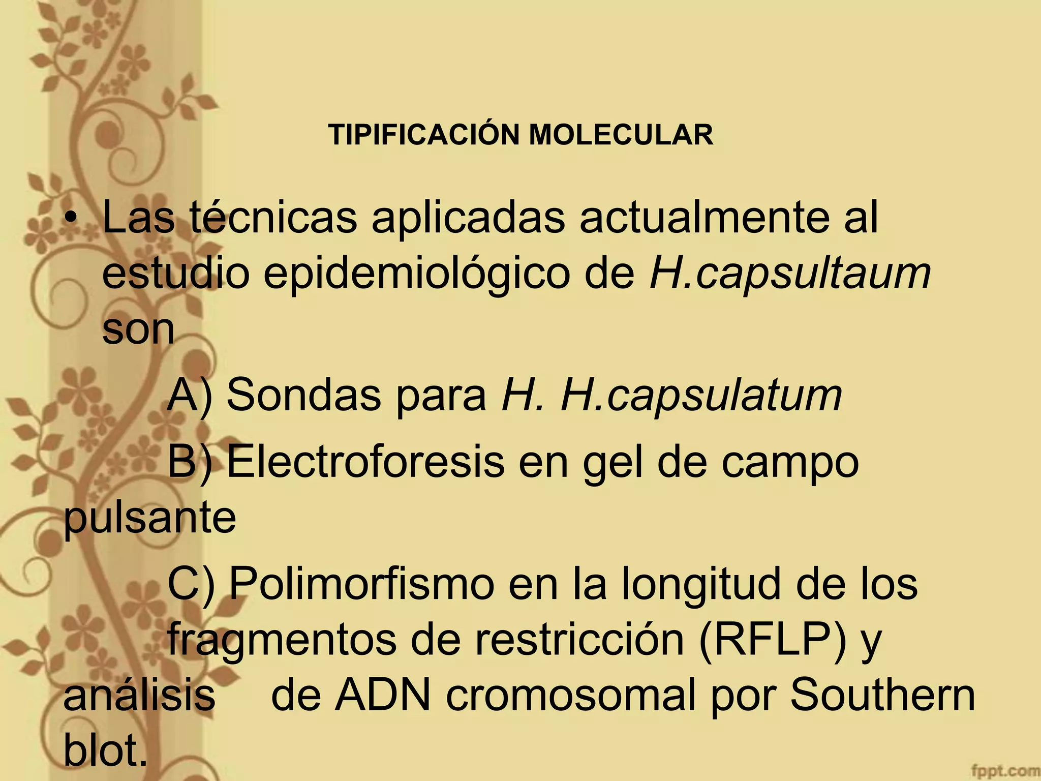 TIPIFICACIÓN MOLECULAR

• Las técnicas aplicadas actualmente al
estudio epidemiológico de H.capsultaum
son
A) Sondas para H. H.capsulatum
B) Electroforesis en gel de campo
pulsante
C) Polimorfismo en la longitud de los
fragmentos de restricción (RFLP) y
análisis de ADN cromosomal por Southern
blot.

 