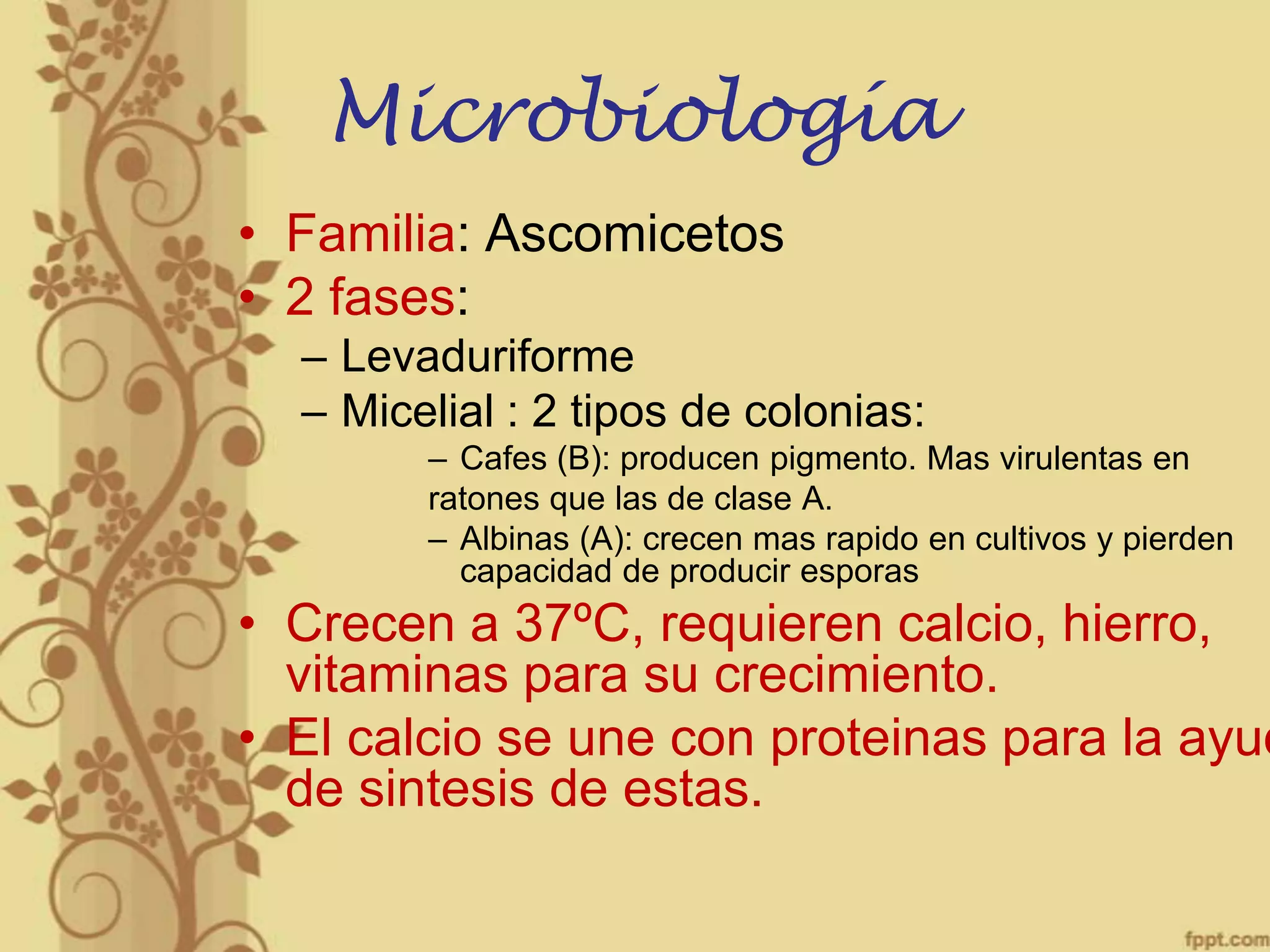 Microbiología
• Familia: Ascomicetos
• 2 fases:
– Levaduriforme
– Micelial : 2 tipos de colonias:
– Cafes (B): producen pigmento. Mas virulentas en
ratones que las de clase A.
– Albinas (A): crecen mas rapido en cultivos y pierden
capacidad de producir esporas

• Crecen a 37ºC, requieren calcio, hierro,
vitaminas para su crecimiento.
• El calcio se une con proteinas para la ayud
de sintesis de estas.

 