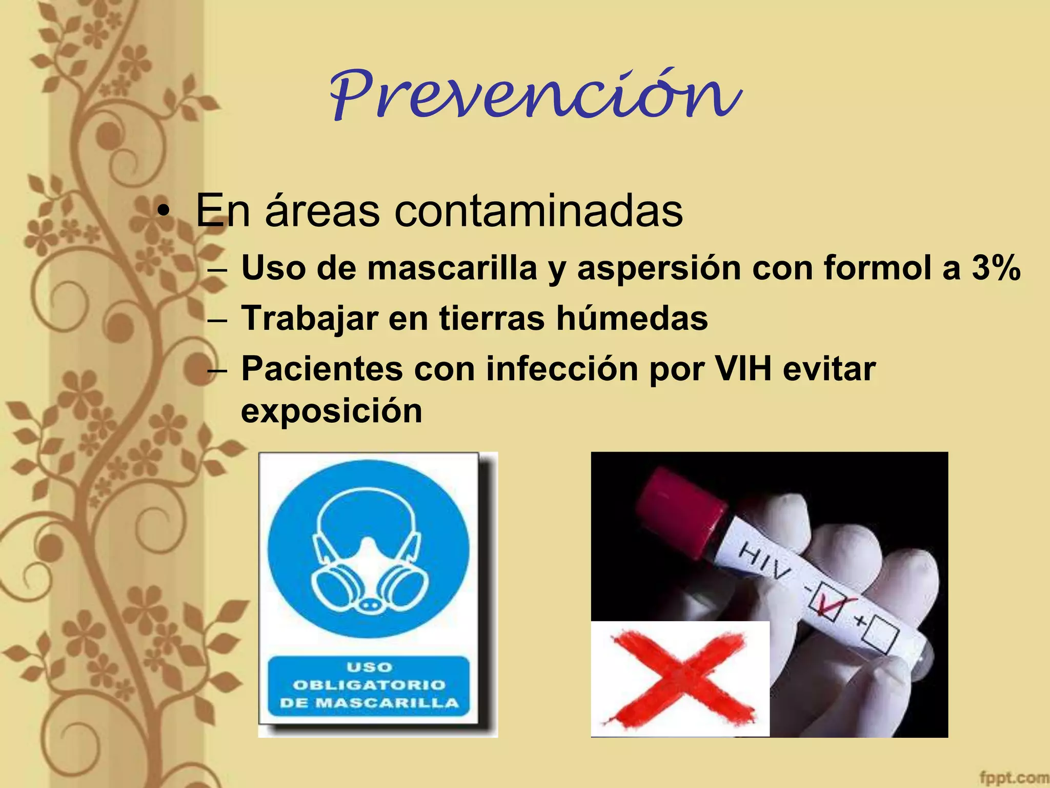 Prevención
• En áreas contaminadas
– Uso de mascarilla y aspersión con formol a 3%
– Trabajar en tierras húmedas
– Pacientes con infección por VIH evitar
exposición

 
